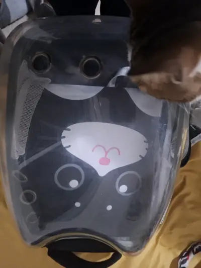 Mochila transportadora para mascotas gato - miniatura 1