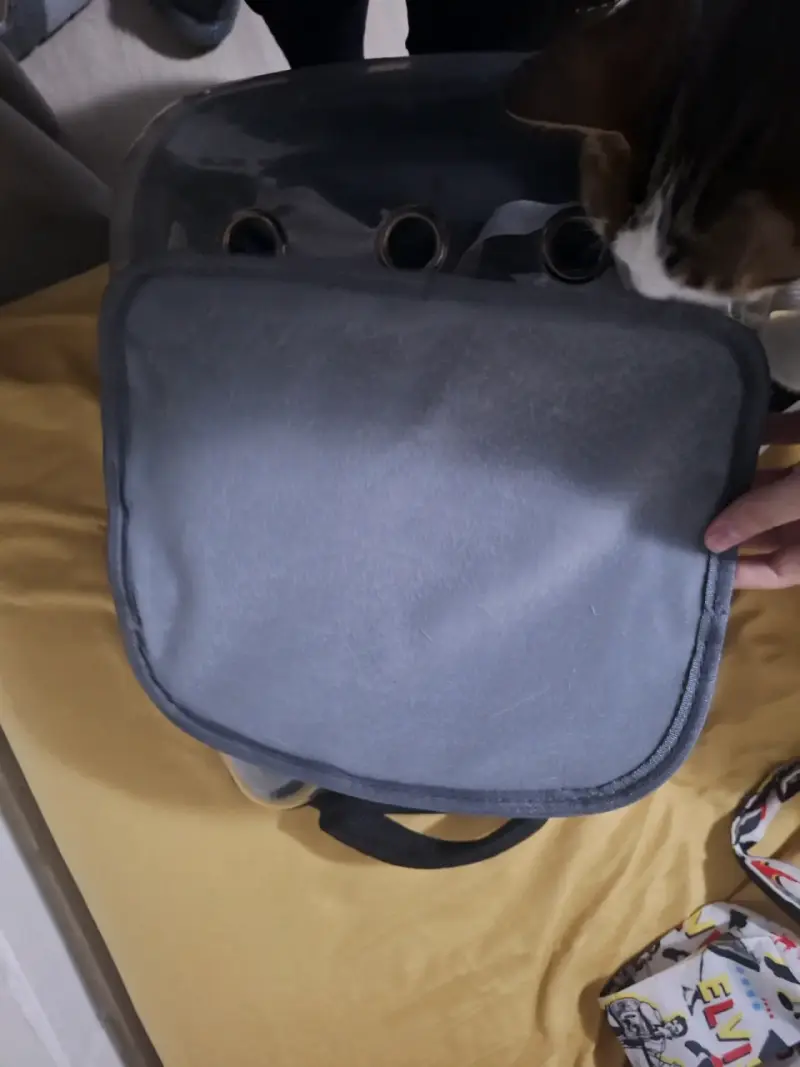 Mochila transportadora para mascotas gato - 2