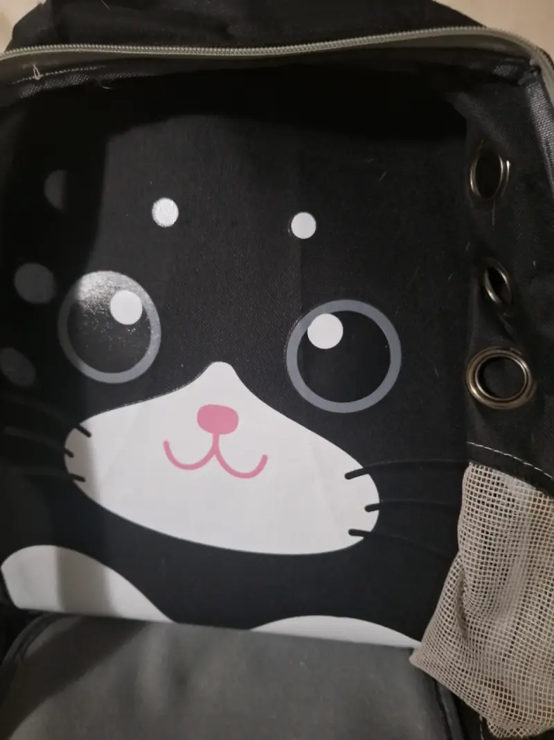 Mochila transportadora para mascotas gato - 4