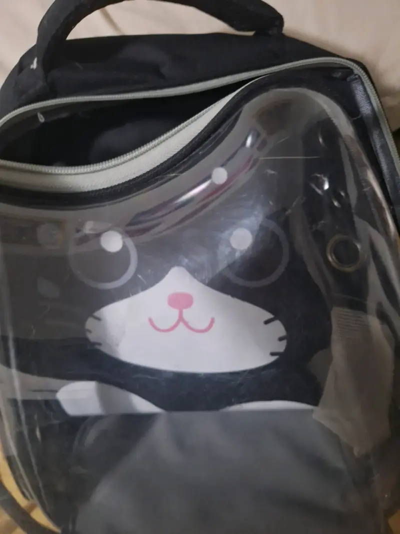 Mochila transportadora para mascotas gato - 5
