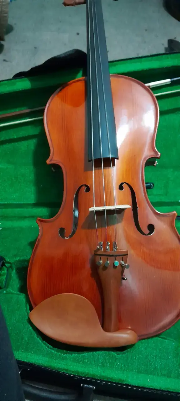 Viola 16, con accesorios, poco uso - 2