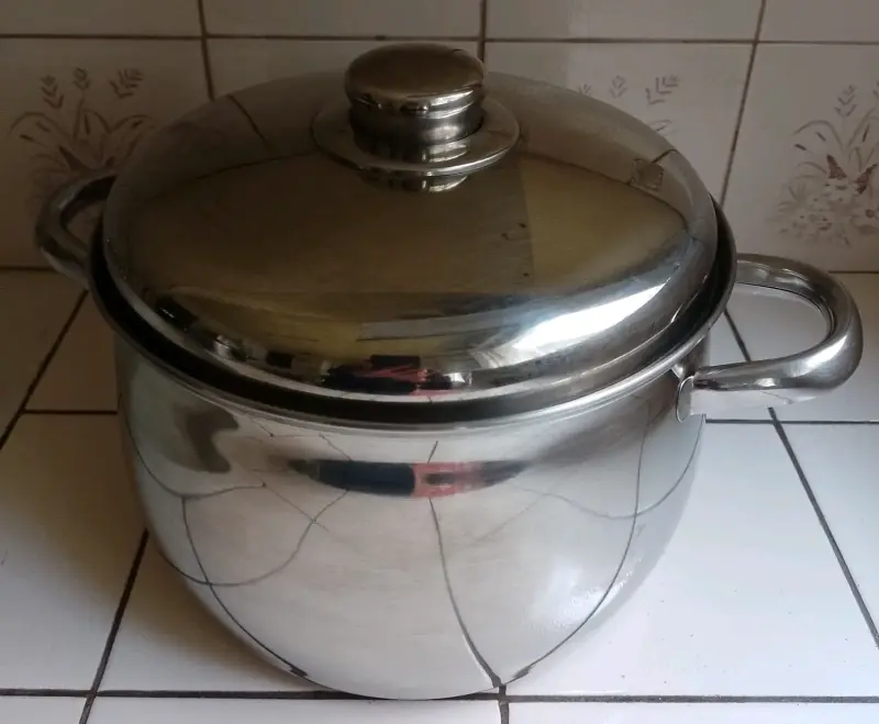 Olla de acero inoxidable con tapa