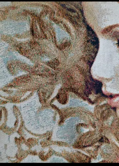 Manta decorativa Taylor Swift Fearless - miniatura 2