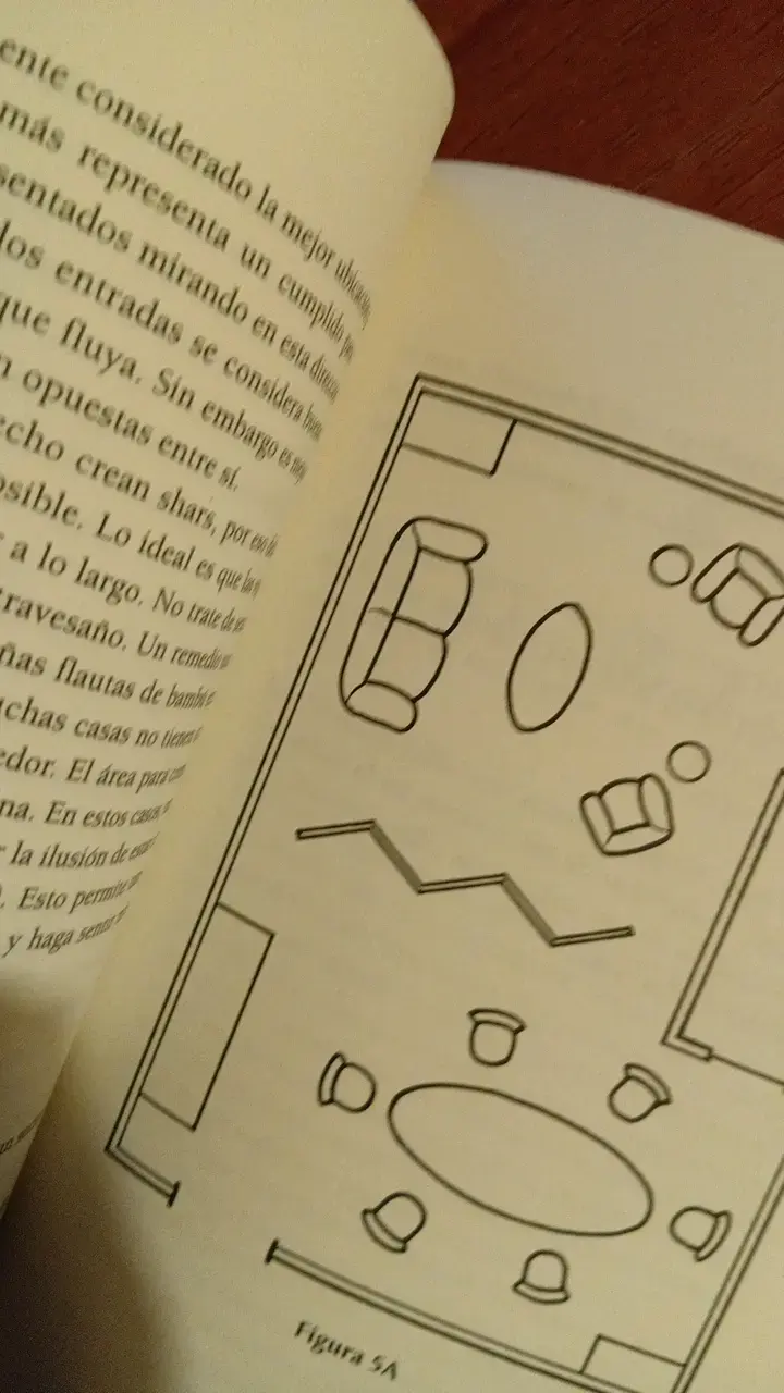 Libro Feng Shui para la Casa de Richard Webster - 4