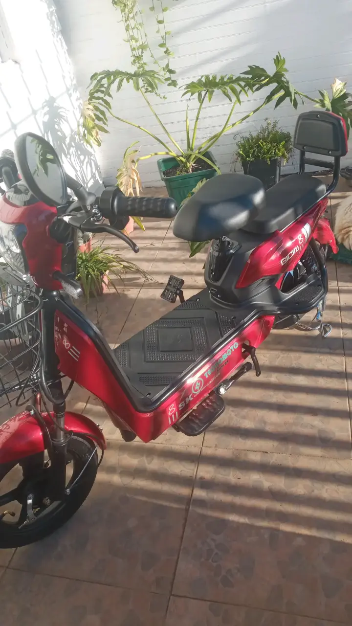 Bicicleta eléctrica roja SK Tecnomoto