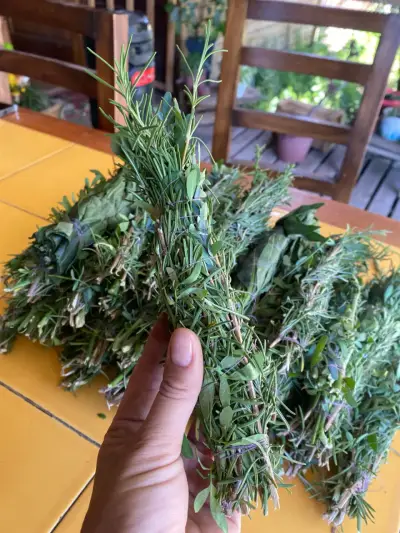 Ramilletes de hierbas aromáticas frescas - miniatura 1