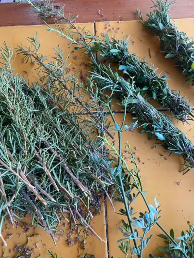 Ramilletes de hierbas aromáticas frescas - miniatura 2