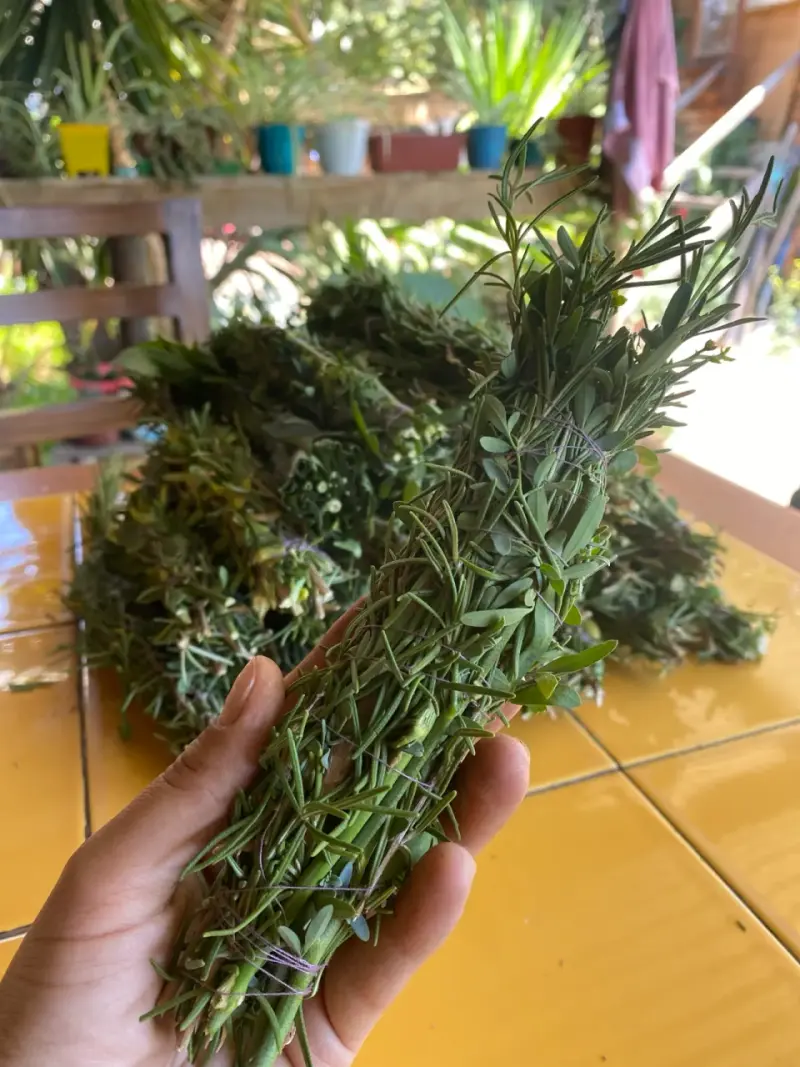 Ramilletes de hierbas aromáticas frescas - 3