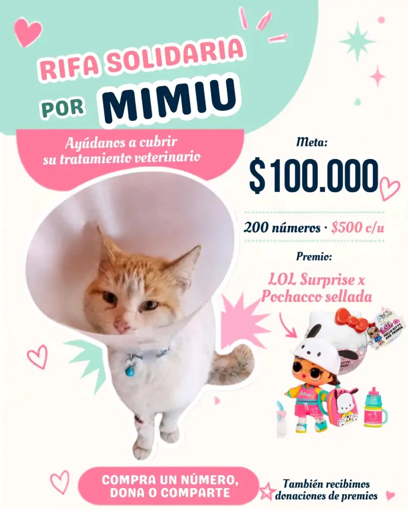 $500 el número - 1