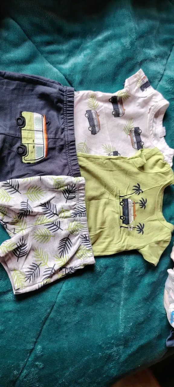 Conjunto de ropa infantil con estampado de autos y hojas