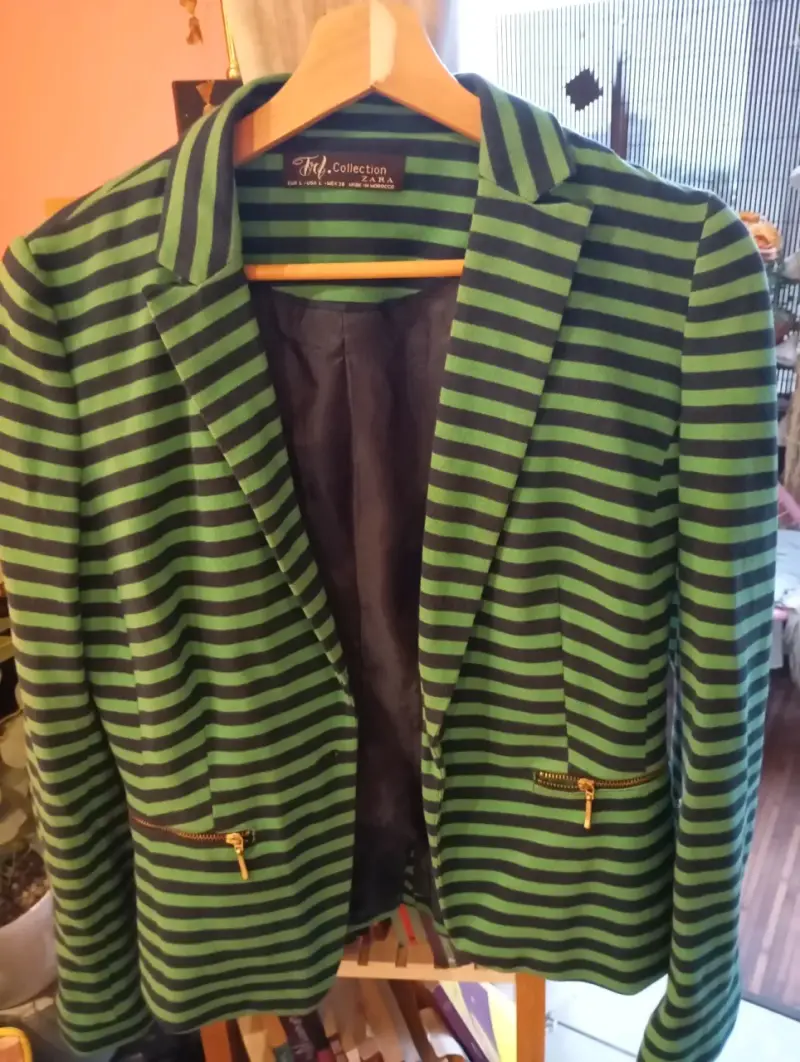Blazer a rayas verde y negro Zara