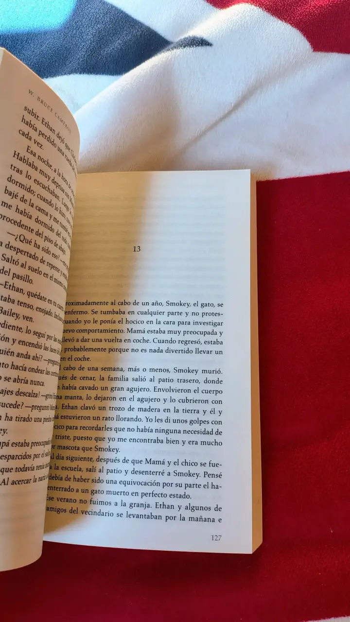 Libro 'La Razón de Estar Contigo' de W Bruce Camer - 5