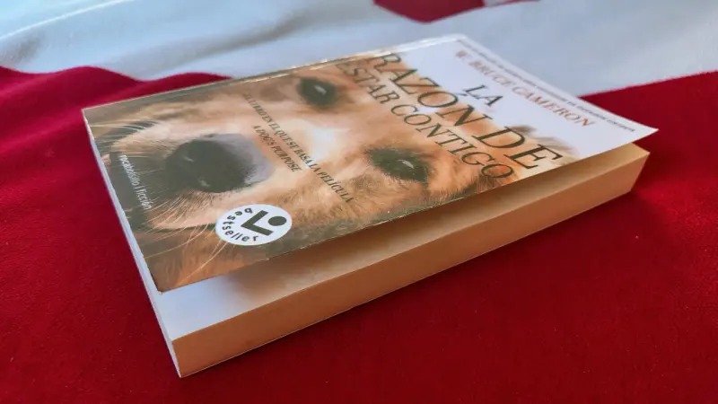 Libro 'La Razón de Estar Contigo' de W Bruce Camer - 6