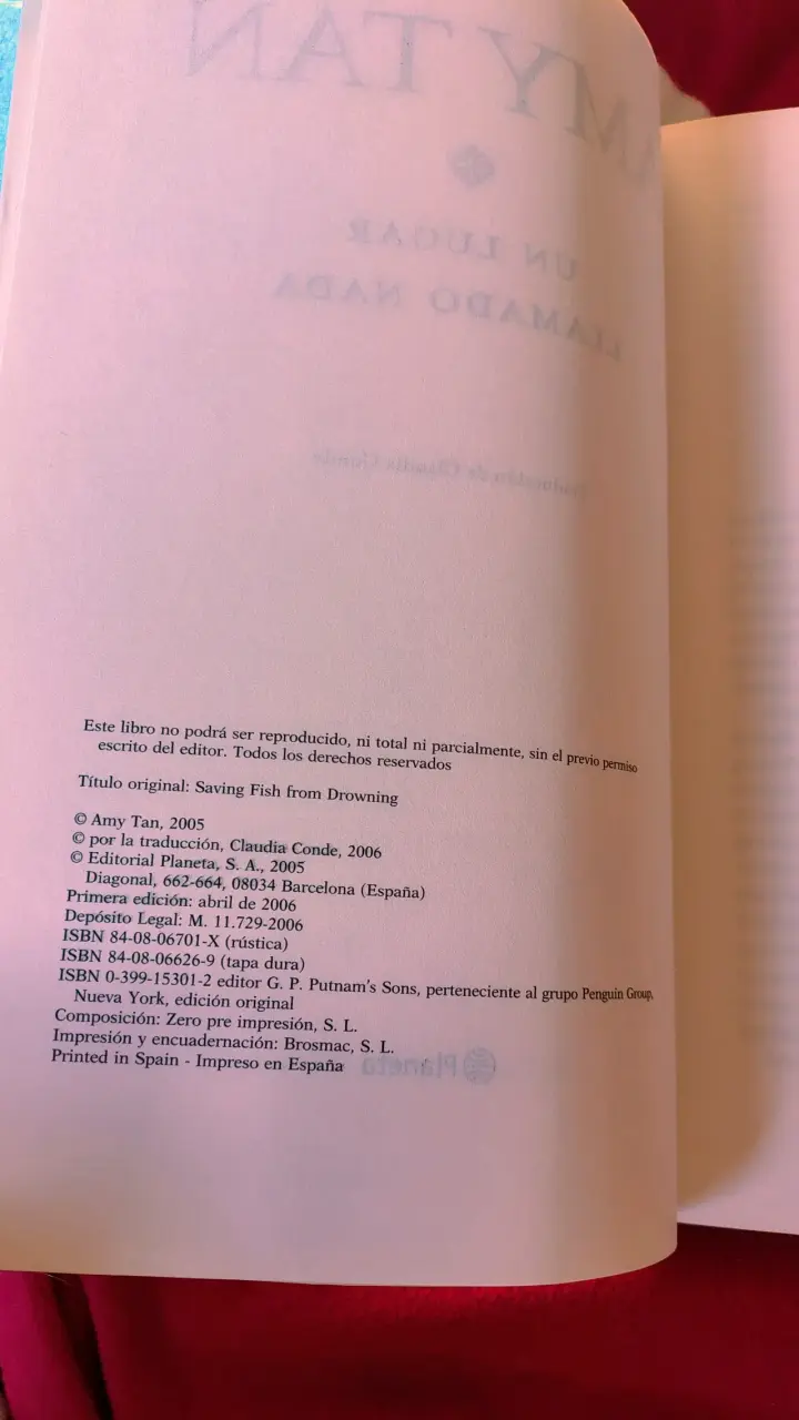 Libro 'Un Lugar Llamado Nada' de Amy Tan - 3