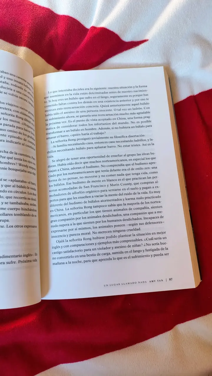 Libro 'Un Lugar Llamado Nada' de Amy Tan - 4