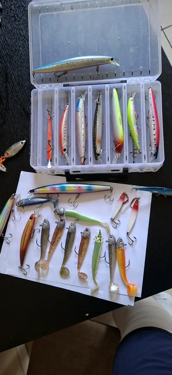 Set de Señuelos de Pesca Variados - 1