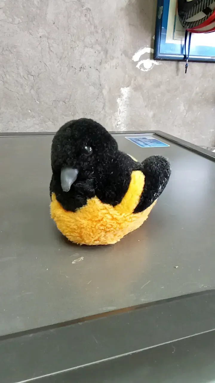 Peluche de pájaro negro y amarillo - 1
