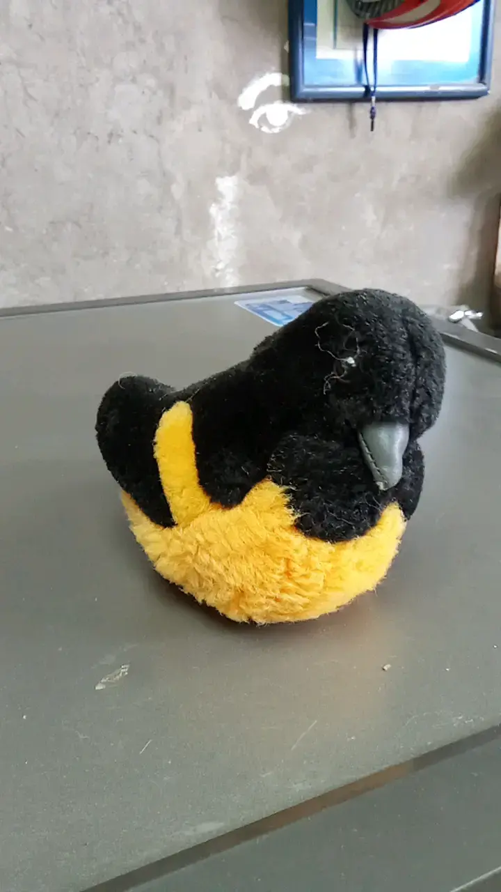 Peluche de pájaro negro y amarillo - 2