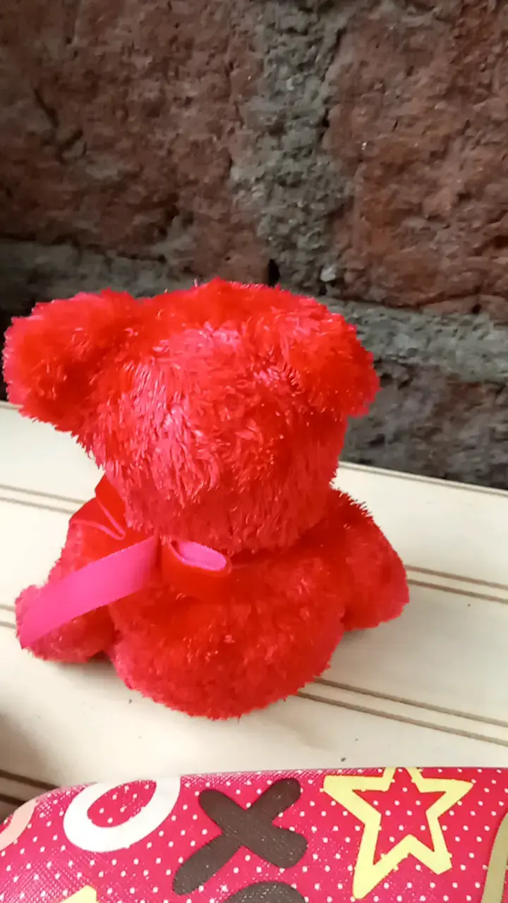 Osito de peluche rojo suave - 2