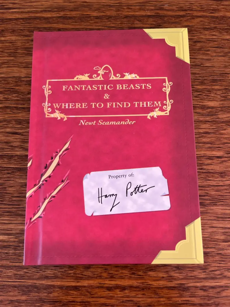 Set original 2 libros Harry Potter en inglés - 5