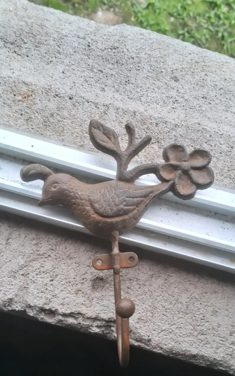 Gancho de pared decorativo de hierro con diseño de pájaro - 1