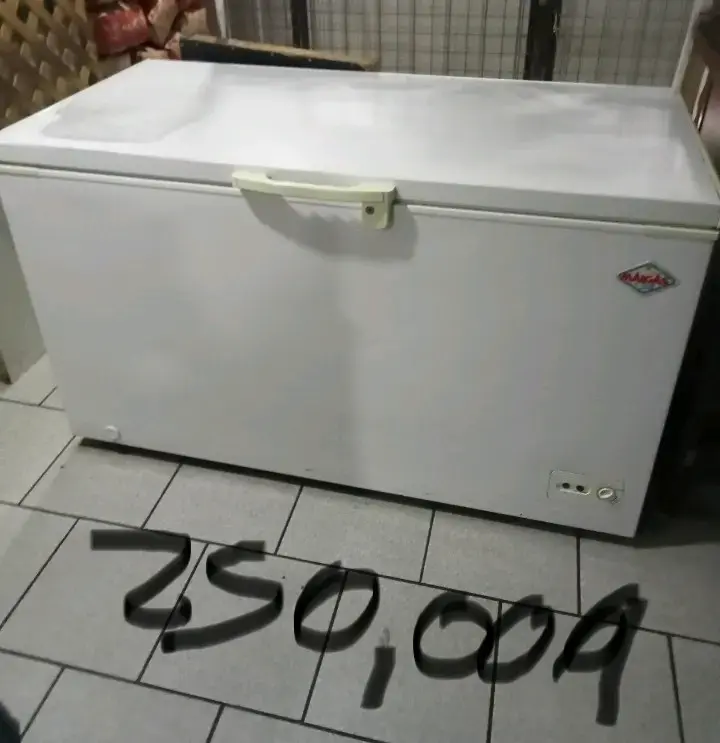Congelador horizontal marca Mademsa en buen estado