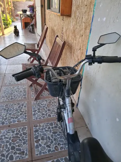 Bicicleta eléctrica con canasto y espejos retrovisores - miniatura 2