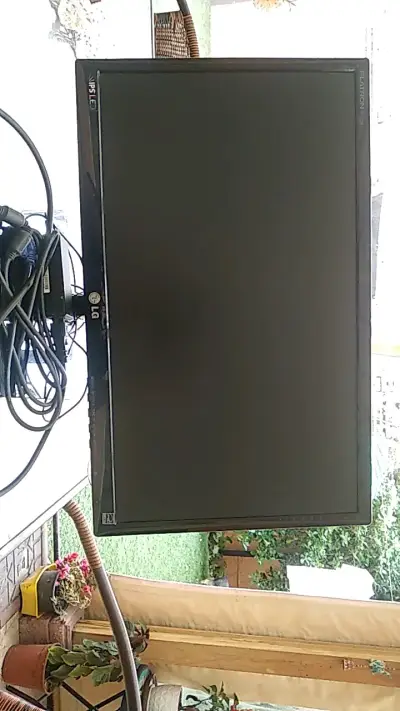 Monitor LG Flatron IPS LED 22 pulgadas - miniatura 1