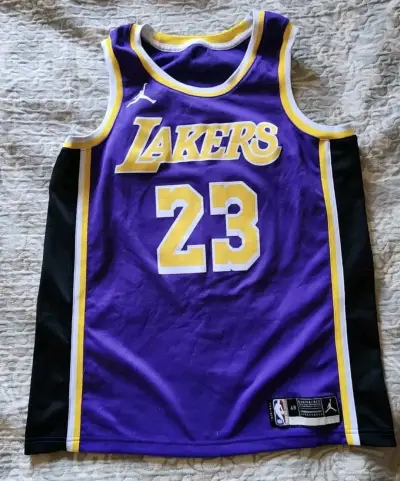 Camiseta NBA Lakers LeBron James Morada - miniatura 1