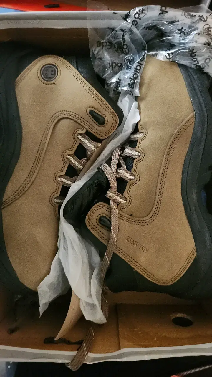 Zapatos de seguridad