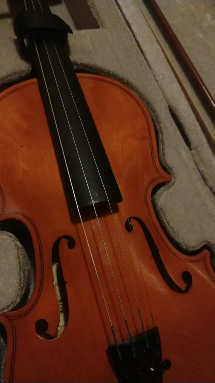 Violín con estuche y arco en buen estado - 2