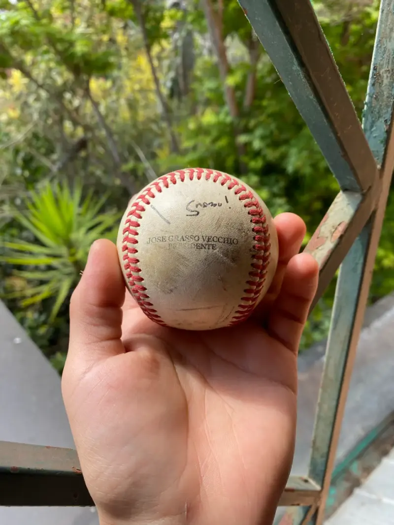 Pelota Wilson A1010E LVBP Venezuela Vintage - 2