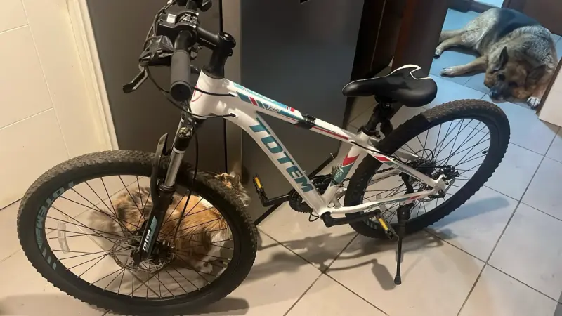 Bicicleta Totem V260 con canasto y candado - 1