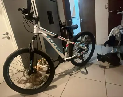 Bicicleta Totem V260 con canasto y candado - miniatura 6