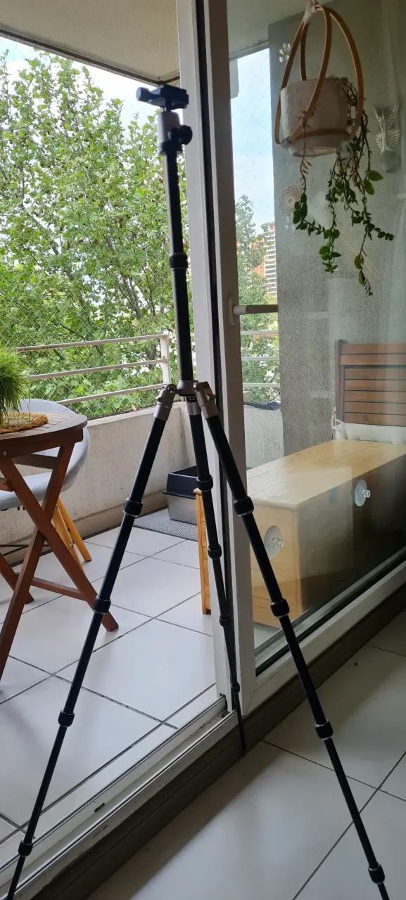 Trípode Manfrotto Element MKELE55GY-BH para fotografía - 2