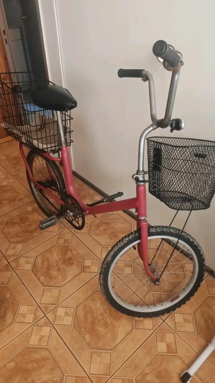 Bicicleta urbana roja con canastos mini marca Cic - 1