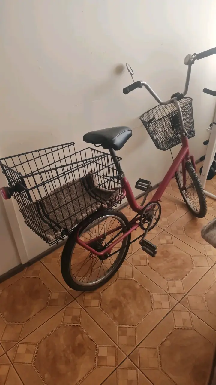 Bicicleta urbana roja con canastos mini marca Cic - 2