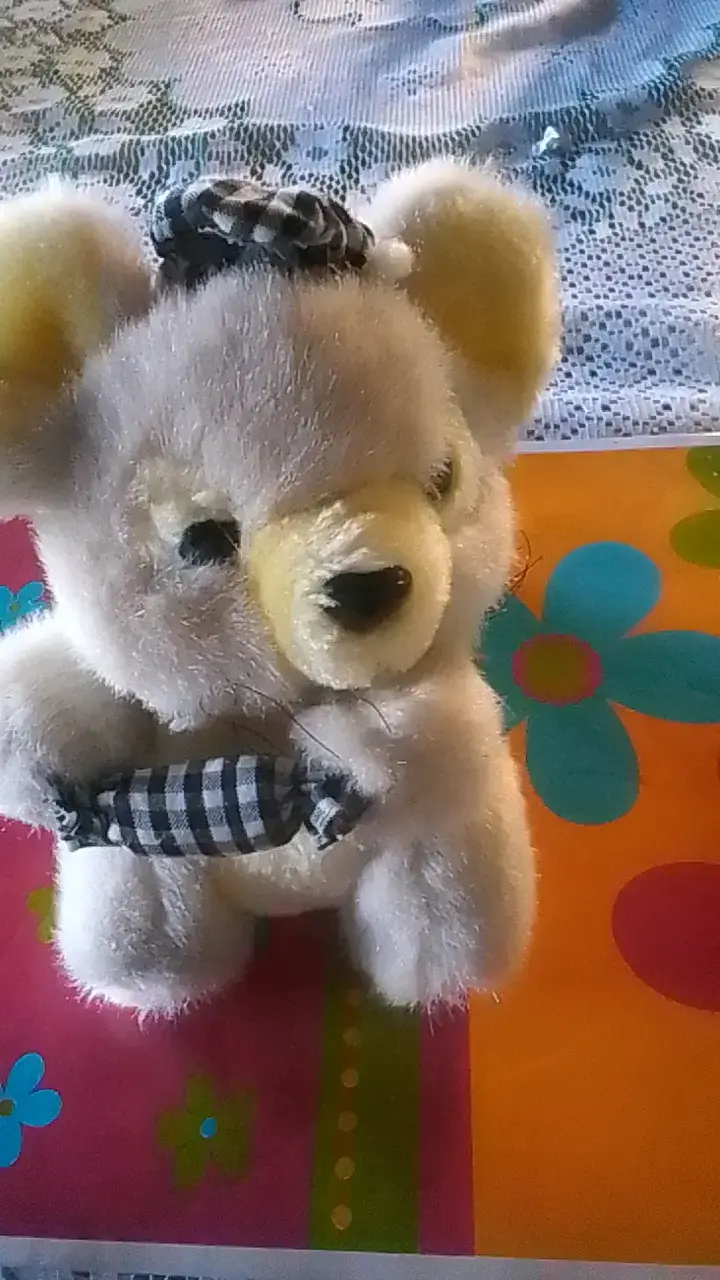 Peluches de osos suaves y adorables - 1