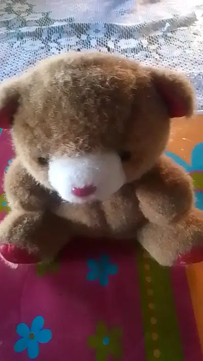 Peluches de osos suaves y adorables - miniatura 2