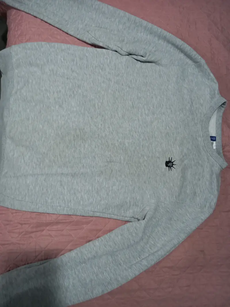 Polerón gris con diseño bordado