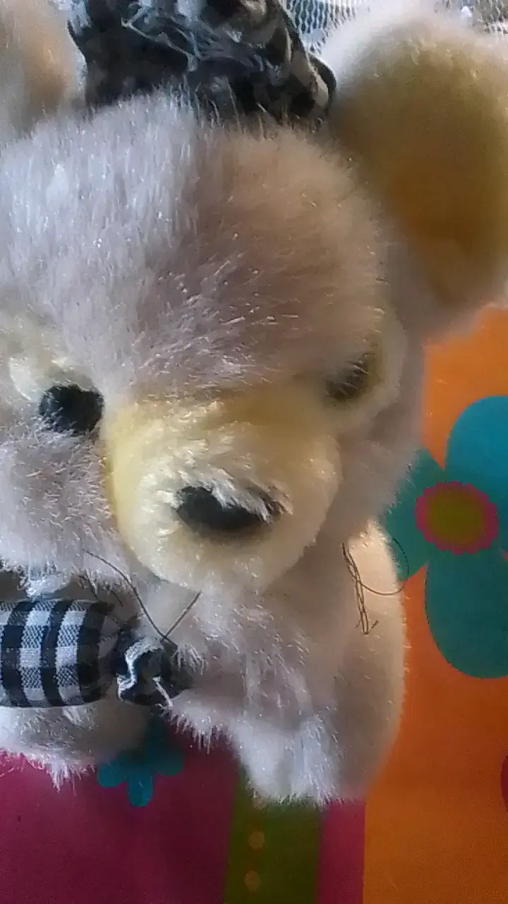 Peluche de oso con moño a cuadros - 1