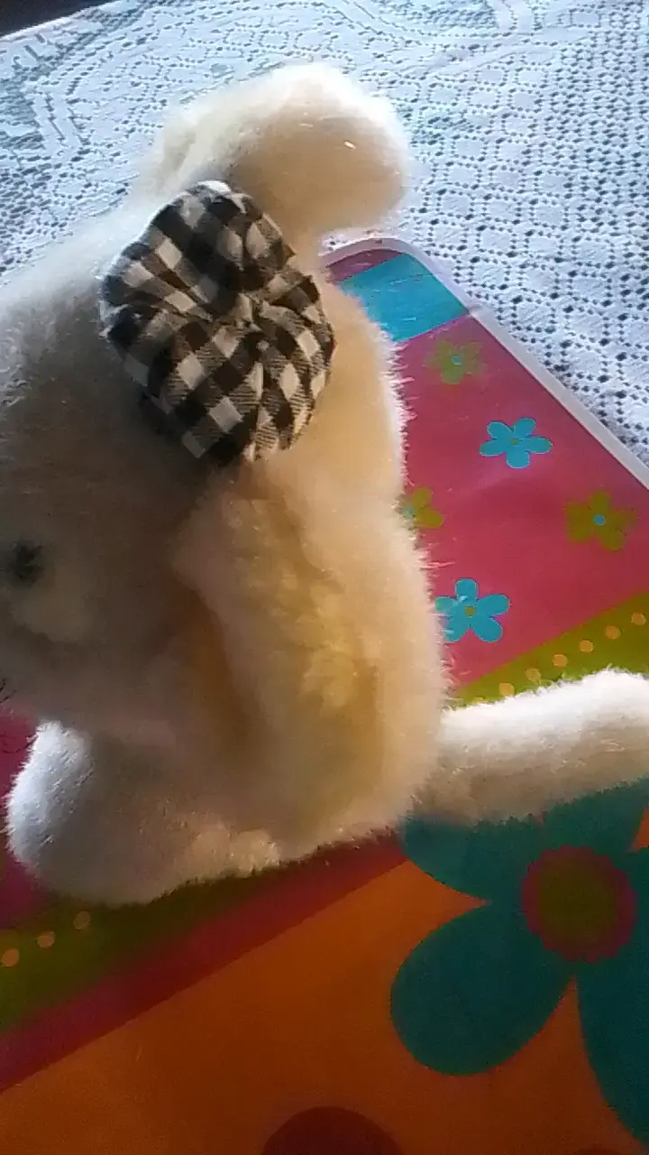 Peluche de oso con moño a cuadros - 2