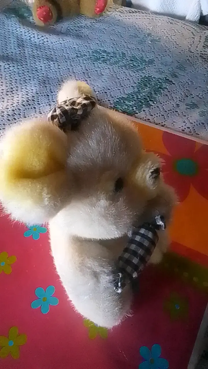 Peluche de oso con moño a cuadros - 3