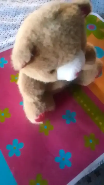 Osito de peluche suave y tierno - miniatura 1