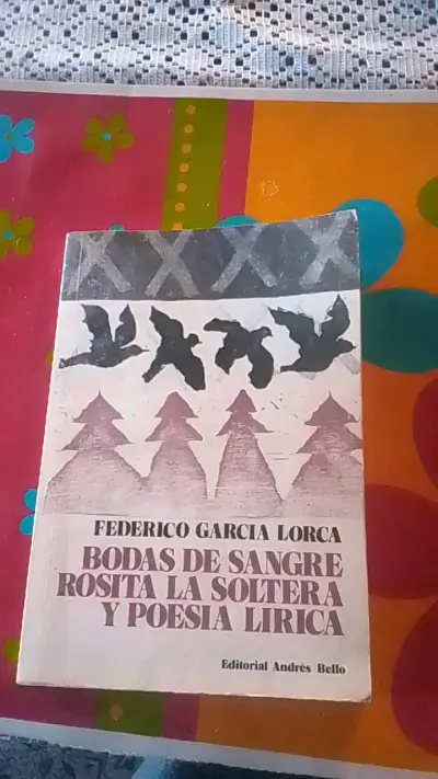Libro Bodas de Sangre de Federico García Lorca - miniatura 1