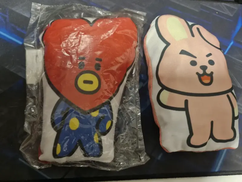 Cojines de personajes animados BT21