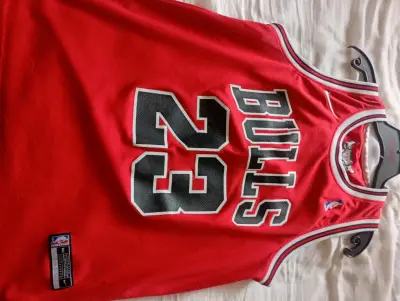 Camiseta de baloncesto Chicago Bulls Jordan 23 - miniatura 1