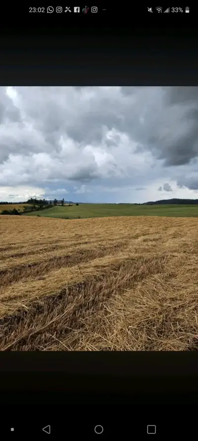 Venta de parcelas a 2 km de traiguen - miniatura 2