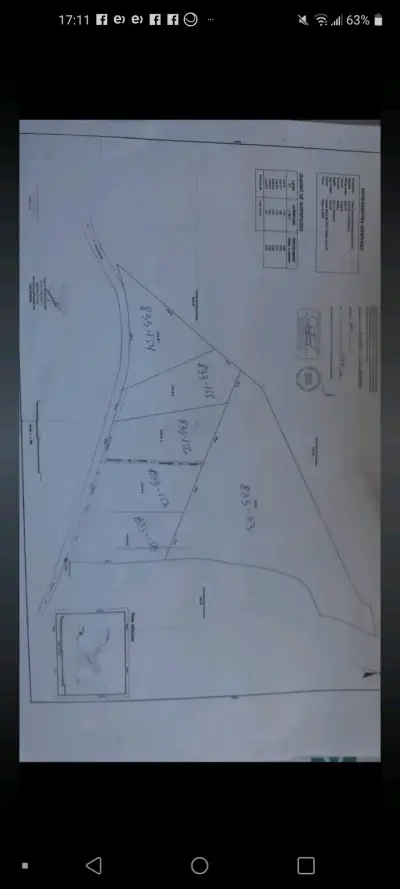 Venta de parcelas a 2 km de traiguen - miniatura 3