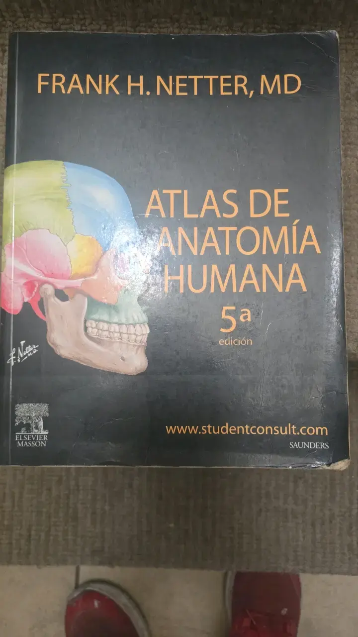 Atlas de Anatomía Humana 5ª Edición Frank H. Netter - 1